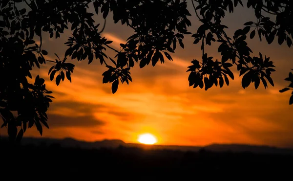 Puesta Sol Enmarcada Entre Los Árboles —  Fotos de Stock