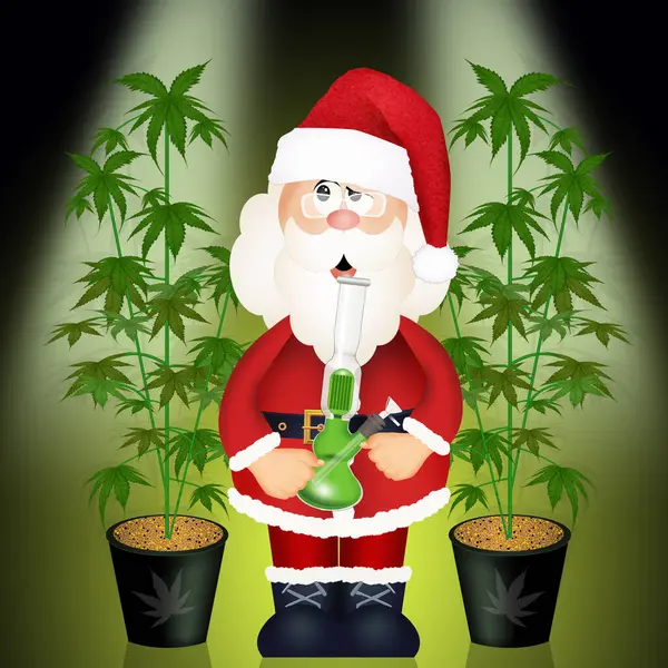 Santa Claus Cultiva Marihuana — Foto de Stock