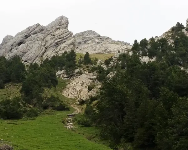 güzel dağ zirveleri ve kayalar