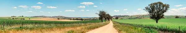 Rural Countryside Panorama View — Stock Photo, Image