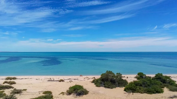 Parejas Jóvenes Sentadas Playa Vacía Shark Bay Western Australia — Foto de Stock