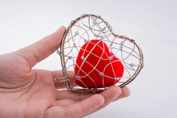 Coeur Dans Une Cage — Photo