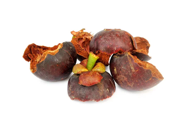 Mangosteen Peel Exposed Sun Dry Clipping Path — Stock Photo, Image