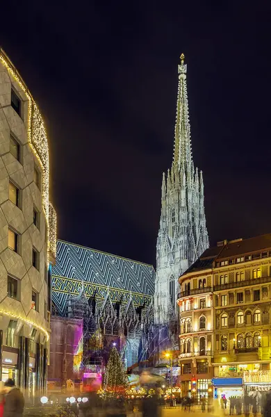 Catedral San Esteban Viena —  Fotos de Stock