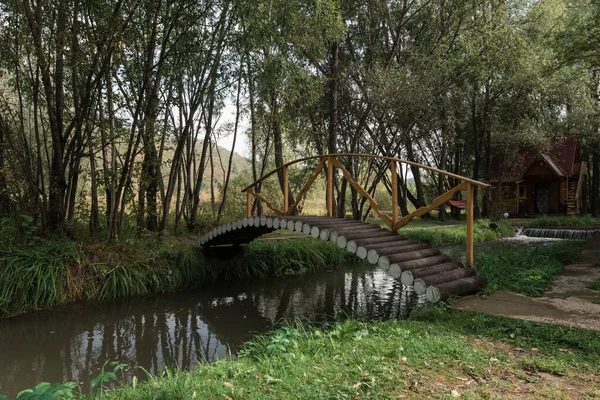 Bahçedeki Ahşap Köprü — Stok fotoğraf