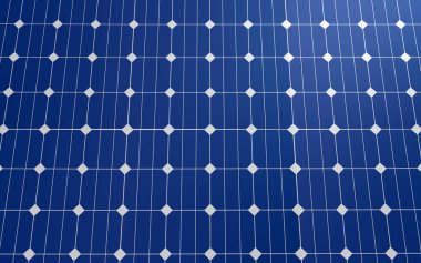 Bir çift Mısırlı kaz (Alopochen aegyptiaca) ve onların genç civcivleri gras yiyorlar