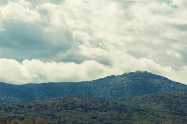 Dağlarda güzel bir gün