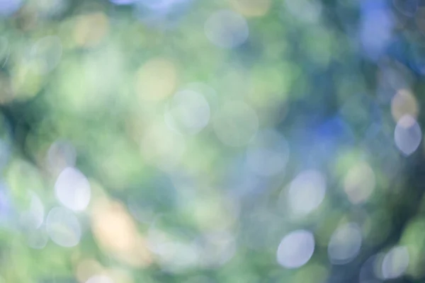 Bulanık Yeşil Doğa Arkaplanı — Stok fotoğraf