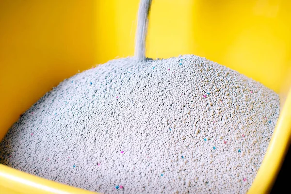 Areia Gato Fresca Derramando Uma Caixa Areia Amarela — Fotografia de Stock