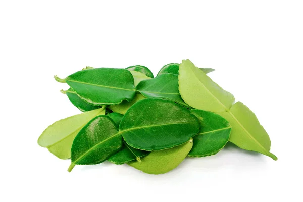 Kaffir Lime Leaves White Background — Stock Photo, Image