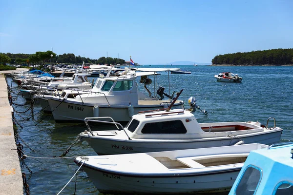 Marina Llena Barcos Mar Adriático Verano Croacia —  Fotos de Stock