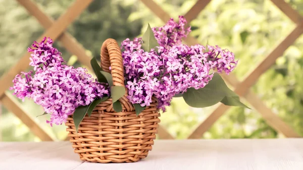 Basket Bouquet Lilac Flowers White Wooden Table Summerhouse Garden — Stock Photo, Image