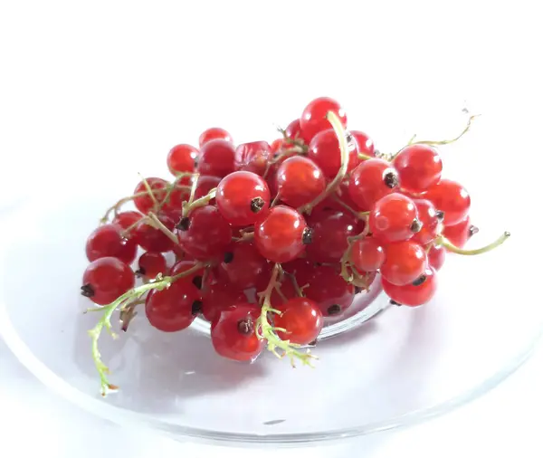 Vörös Ribizli Friss Bogyók Fényképe Növényi Ételek — Stock Fotó