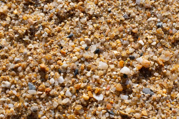 Grains Sand Detail Beach — Stock Photo, Image