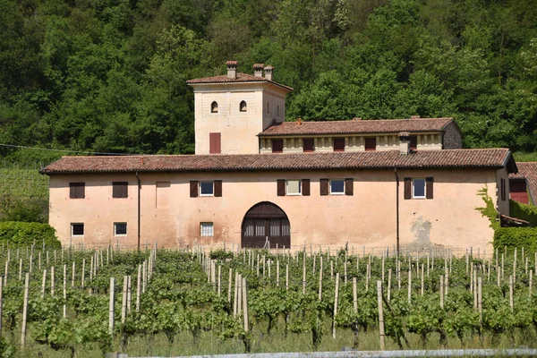 Ancient Franciacorta Wine Farm Włochy — Zdjęcie stockowe