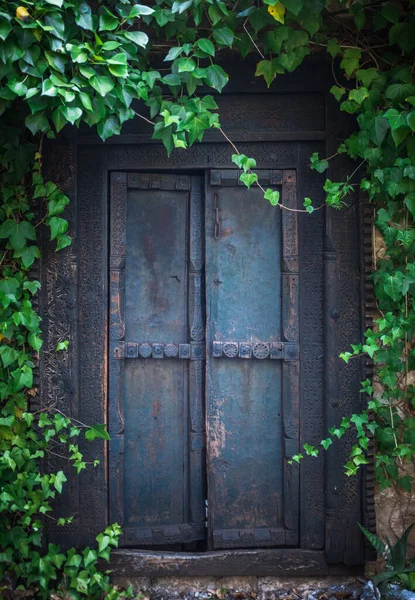 Заросшая Тайная Садовая Дверь — стоковое фото