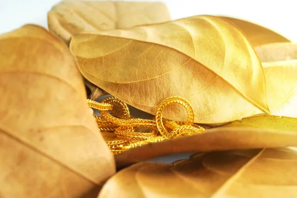 Gouden Hals Herfstbladeren — Stockfoto