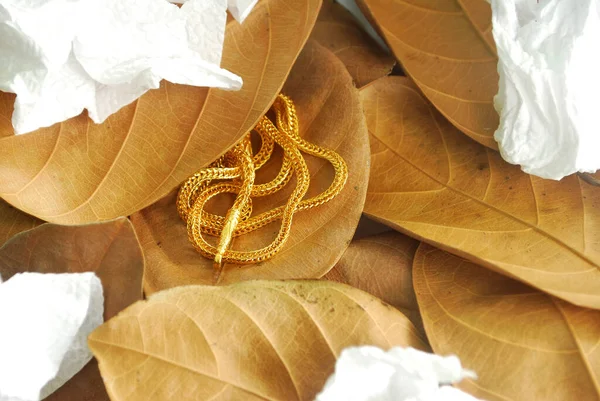 Gold Neck Autumn Leaves — Stock Photo, Image