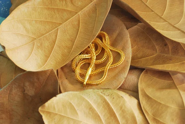 Золотая Шея Осенних Листьях — стоковое фото