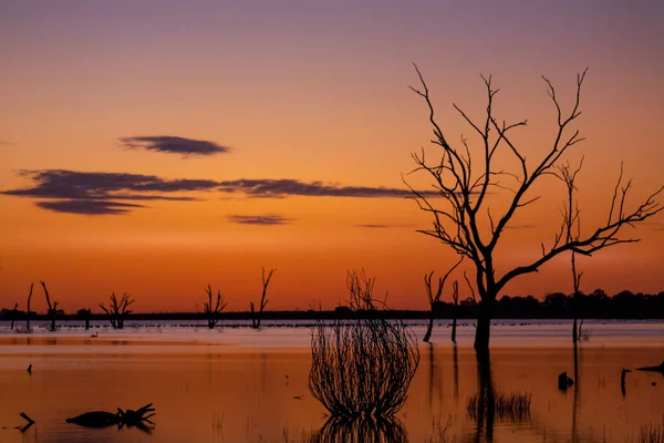 Silhouettes Lake Outback Sunset — Zdjęcie stockowe