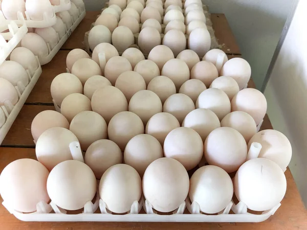 Białe Jaja Kaczki Drewnie Panelu — Zdjęcie stockowe
