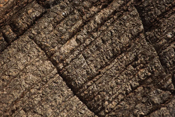 Gelaagde Oude Sedimentaire Rotswand — Stockfoto