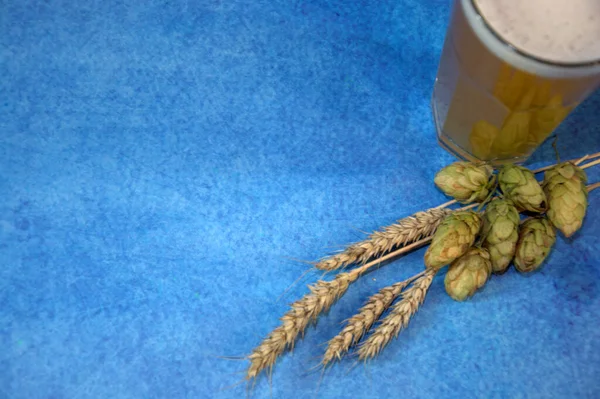 トウモロコシとホップの耳の隣に泡と小麦ビールの完全なガラス — ストック写真