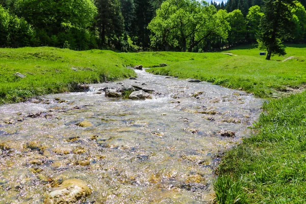 Een Kleine Bergbeek Met Koud Water Stroomt Omringd Door Grote — Stockfoto
