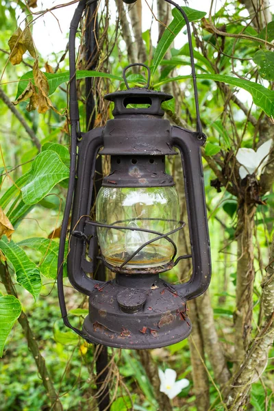 Винтажная Лампа Оформлении Сада — стоковое фото