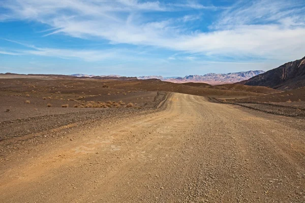 Paysage Désertique Namibien Vue Panoramique — Photo