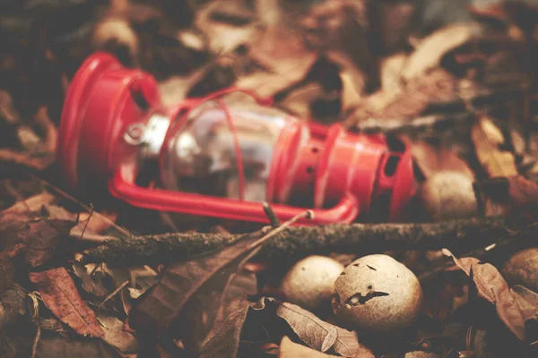 Красный Светильник Опавших Листьях — стоковое фото