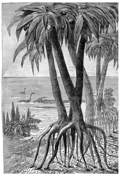 Marginea Mării Timpul Perioadei Jurassic Gravură Epocă — Fotografie, imagine de stoc