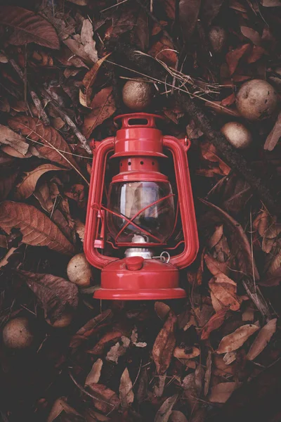 Červená Lampa Podzim — Stock fotografie