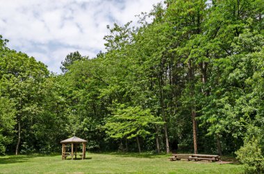 Tahta tezgah, oyuk ve masa ormanda bir çayır üzerinde eski Batı parkında