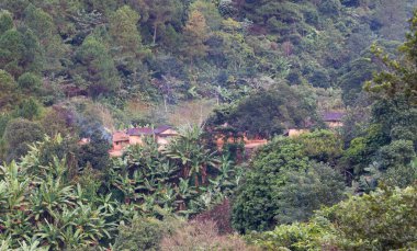 Tipik Malagasy manzara geçmişi 