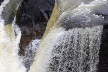Nehir Ranomafana Ulusal Parkı, Madagaskar