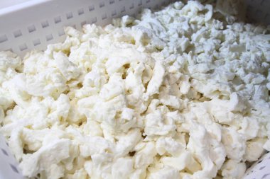 Buffalo mozzarella. Campania 'nın geleneksel pizzası için hazırlanmış ve hazır.