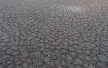 Toprağın dokusu tuz kristalleriyle kaplıydı.