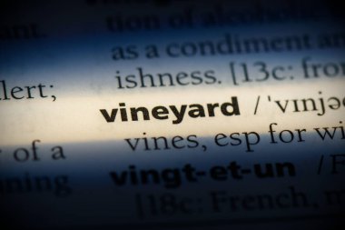 Sözlükte vurgulanmış üzüm bağı kelimesi, görünümü kapat