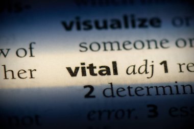 sözlükte vurgulanan hayati sözcük, görünümü kapat