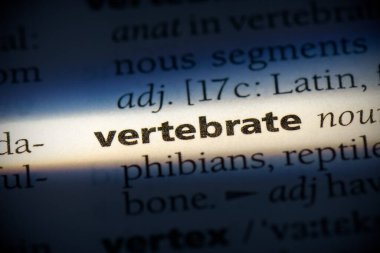 Sözlükte vurgulanmış omurgalı sözcük, görünümü kapat