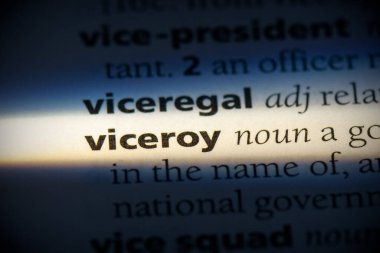 Genel vali kelimesi, sözlükte altı çizili, görünümü kapat