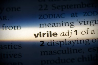 sözlükte erkeksi bir kelime 