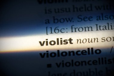 sözlükte viyolist sözcük 