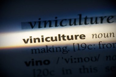 Sözlükte vinikulture sözcüğü 