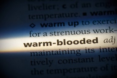 Sözlükte vurgulanmış sıcak kanlı kelime, görüntüyü kapat