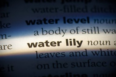 sözlükte vurgulanmış nilüfer çiçeği kelimesi, görünümü kapat