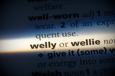 sözlükte vurgulanmış güzel kelime, görünümü kapat