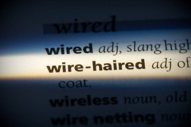 tel saçlı kelime, sözlükte vurgulanmış, görünümü kapat