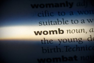 sözlükte vurgulanan wmob kelimesi, görünümü kapat